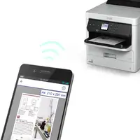 Epson DURABrite Pro