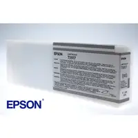 Epson Cartucho T591700 gris