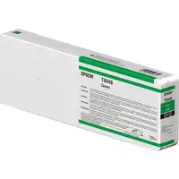 Epson Singlepack Green T804B00 UltraChrome HDX 700ml