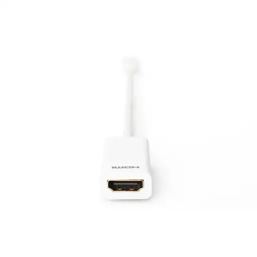 Digitus Cable adaptador DisplayPort