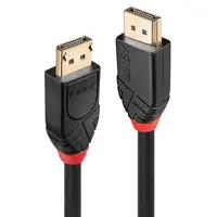 Lindy 41078 cable DisplayPort 10 m Negro
