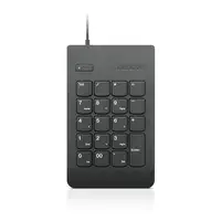 Lenovo KBD_BO Num Keypad 1 teclado numérico Universal USB Negro