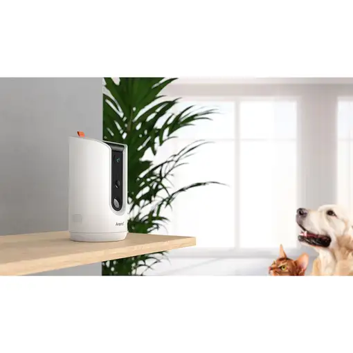 Arenti PETCAM1T Indoor WiFi Haustierkamera & Futterspender Cámara de seguridad IP