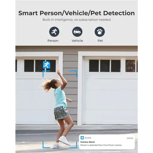 Reolink P830 Almohadilla Cámara de seguridad IP