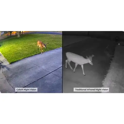 Reolink W320X cámara de vigilancia Bala (forma) Cámara de seguridad IP