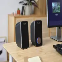 Trust 20179 altavoz Negro Alámbrico 14 W
