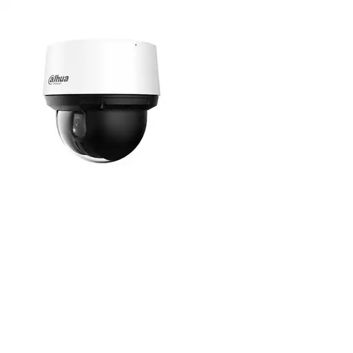 Dahua Technology SD4A425DB-HNY Esférico Cámara de seguridad IP