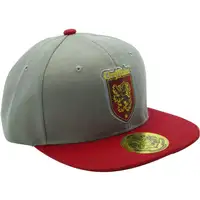 Gorra Abystyle Harry Potter Modelo Gryffindor Color Gris