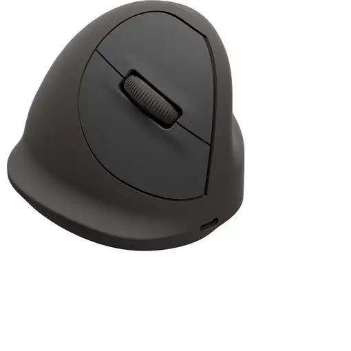 Fellowes 100143580 ratón Universal mano derecha Bluetooth + USB Type-C