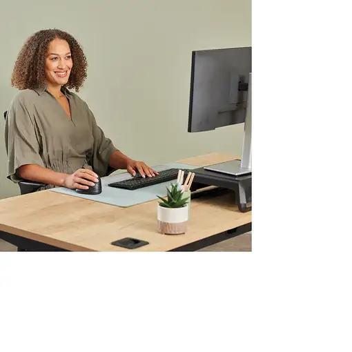 Fellowes 100143584 ratón Universal Izquierda Bluetooth + USB Type-C