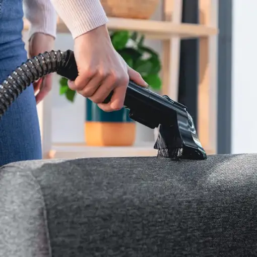 Cecotec Limpiatapicerías cable Conga 3000 Carpet&Spot Clean L