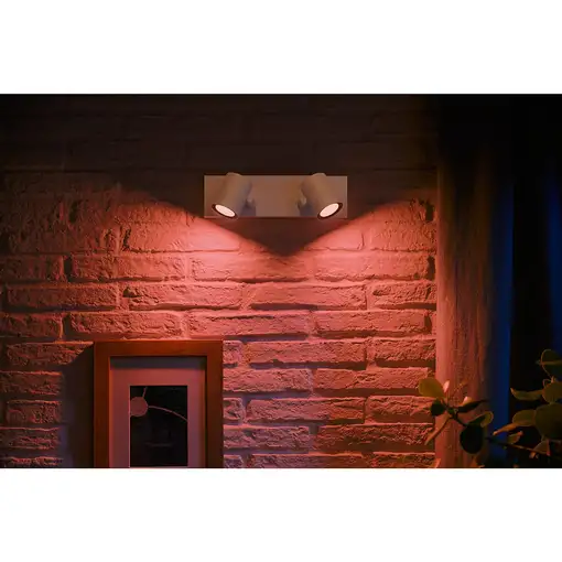 Philips 929003808001 iluminación inteligente Punto de iluminación inteligente Blue