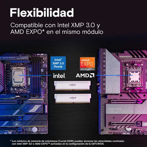 Crucial Pro CP2K32G60C40U5W módulo de memoria 64 GB 2 x 32 GB DDR5 288-pin DIMM