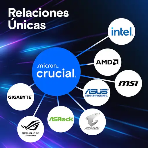 Crucial Pro CP2K64G56C46U5 módulo de memoria 128 GB 2 x 64 GB DDR5 288-pin DIMM