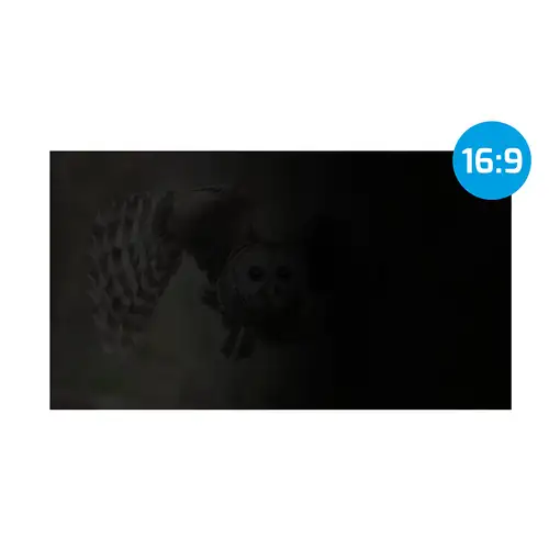 NATEC NFP-1616 filtro para monitor 33,8 cm (13.3'') Portátil Filtro de privacidad