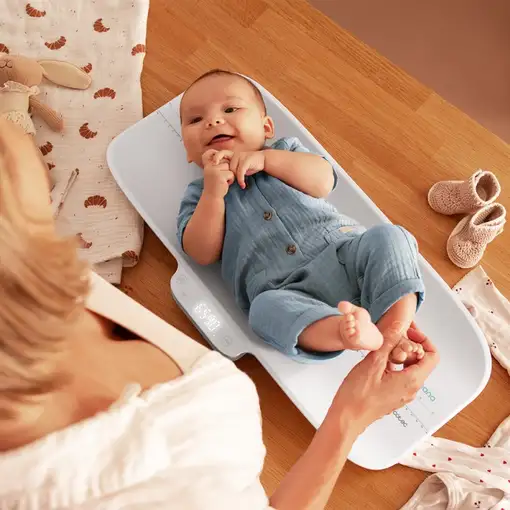 Displex 01902 protector de pantalla o trasero para teléfono móvil Protector de pan