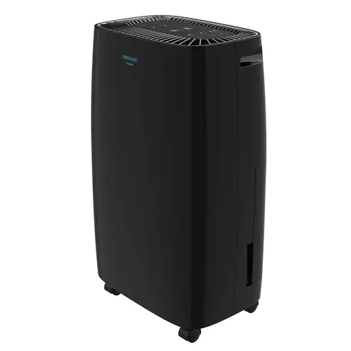 Cecotec BigDry 4000 Expert 2,5 L 205 W Negro
