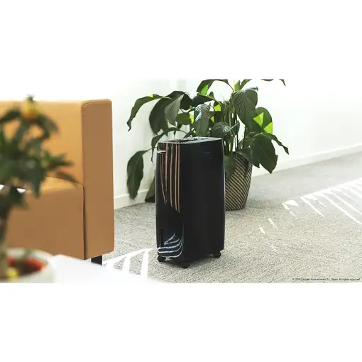 Cecotec BigDry 4000 Expert 2,5 L 205 W Negro