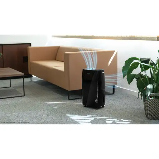 Cecotec BigDry 4000 Expert 2,5 L 205 W Negro