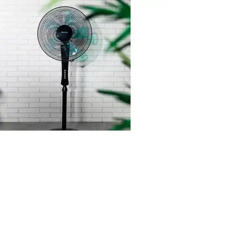 Ventiladores pie/suelo Negro CECOTEC