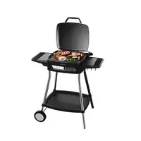 Cecotec 03113 barbacoa y parrilla al aire libre Tetera Eléctrico Negro 2000 W