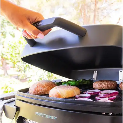 Cecotec 03113 barbacoa y parrilla al aire libre Tetera Eléctrico Negro 2000 W