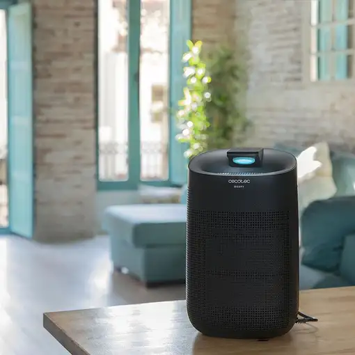 Cecotec 05615 deshumidificador 1 L 45 W Negro