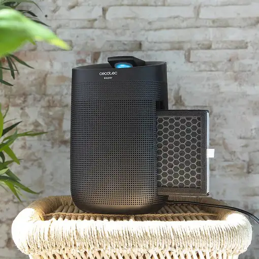 Cecotec 05615 deshumidificador 1 L 45 W Negro