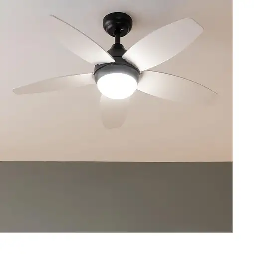 Ventiladores techo Negro CECOTEC