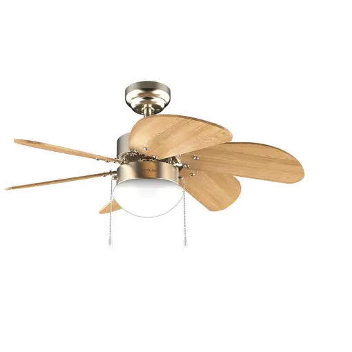 Ventiladores techo Oro CECOTEC