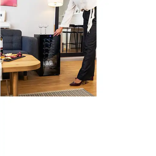 Cecotec GrandSommelier 15000 Nevera de vino Independiente Negro 15 botella(s)