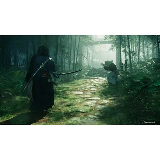 Juego Rise of the Ronin para Playstation 5 | PS5