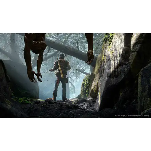 Juego Days Gone Para Playstation 4 | PS4
