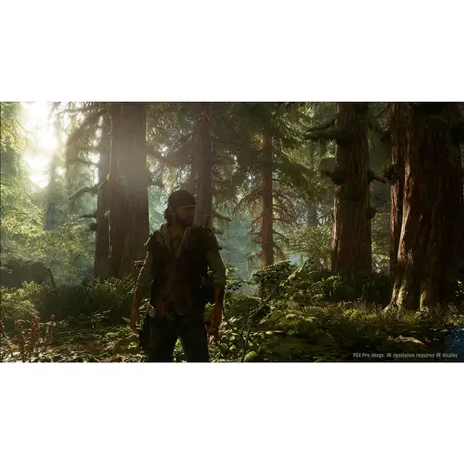 Juego Days Gone Para Playstation 4 | PS4