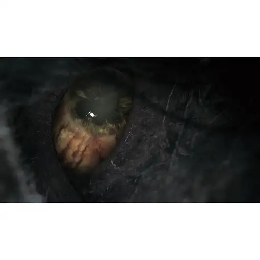 Juego Bloodborne Game Of The Year para Playstation 4