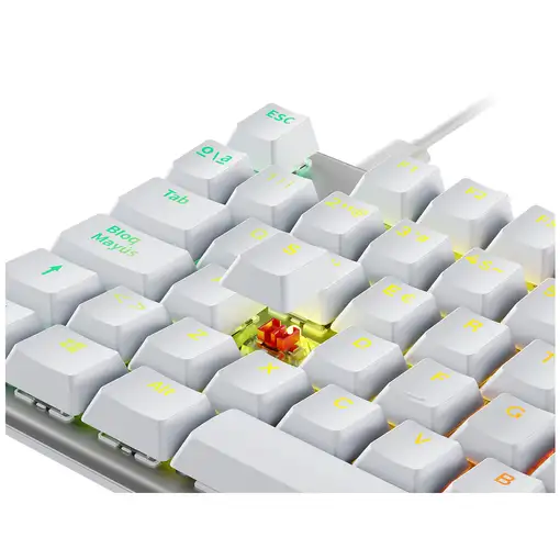 Newskill Gaming NS-KB-SERIKEV2-TKL-IVO teclado Juego USB QWERTY Español Blanco
