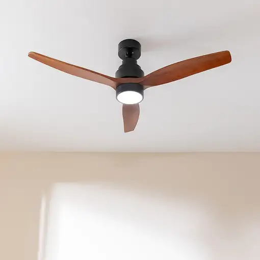 Ventiladores techo Negro CECOTEC