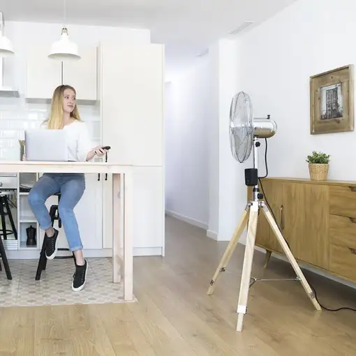 Ventiladores pie/suelo Negro CECOTEC