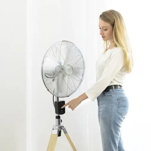 Ventiladores pie/suelo Negro CECOTEC