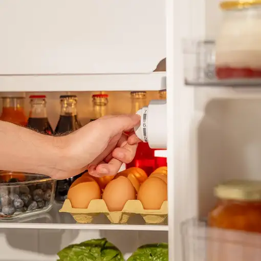 Cecotec Bolero CoolMarket TT Origin 103 Red