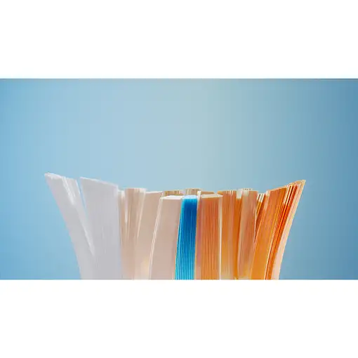 Philips Sonicare Premium All-in-One HX9092/88 Pack de 2 cabezales de cepillado