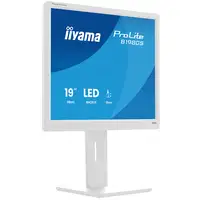 iiyama ProLite B1980S-W1 pantalla para PC 48,3 cm (19") 1280 x 1024 Pixeles SVGA