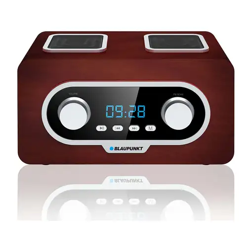 Blaupunkt PP5.2BR radio Portátil Marrón