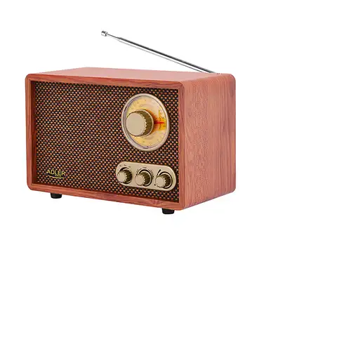 Adler AD 1171 radio Portátil Marrón