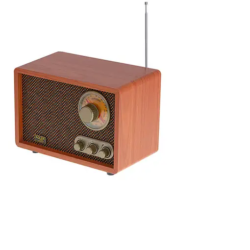 Adler AD 1171 radio Portátil Marrón