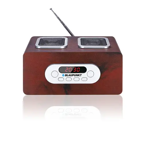 Blaupunkt PP5BR radio Portátil Madera