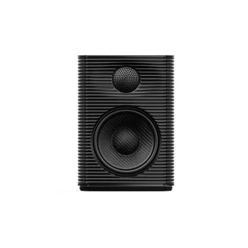 FiiO SP3 altavoz portátil o de fiesta Negro