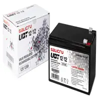 Salicru UBT 12/12