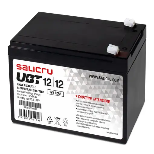 Salicru UBT 12/12