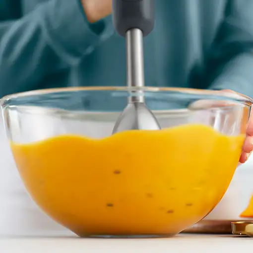 Philips 1000 series HR2522/00 licuadora Batidora de inmersión 500 W